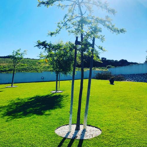 Zahrada ubytování Quinta do Portal Guest House