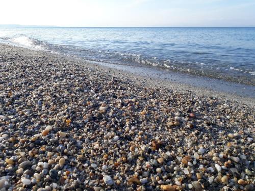 a large group of rocks on a beach at Nefeli Seaside Apartments in Polykhrono