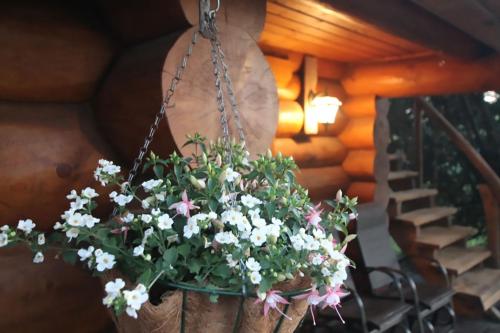 Imagen de la galería de Excellent log house with a sauna in Lahemaa!, en Hara