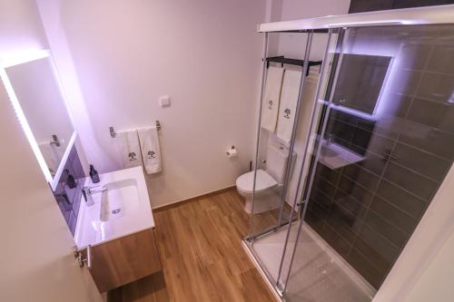 a bathroom with a glass shower and a toilet at Monte das Mós in Ourique