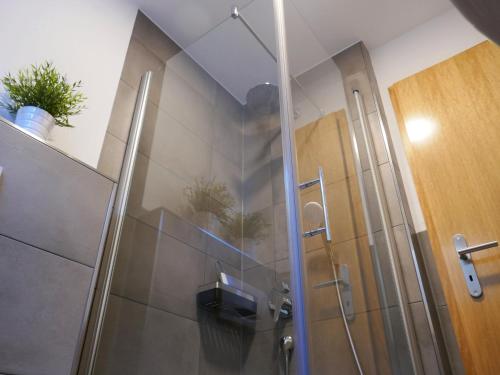 een douche met een glazen deur in de badkamer bij Ferienwohnung Emilia in Münsingen