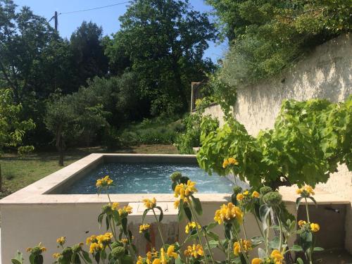 - une piscine dans un jardin orné de fleurs jaunes dans l'établissement Domaine Fontaine, à Visan