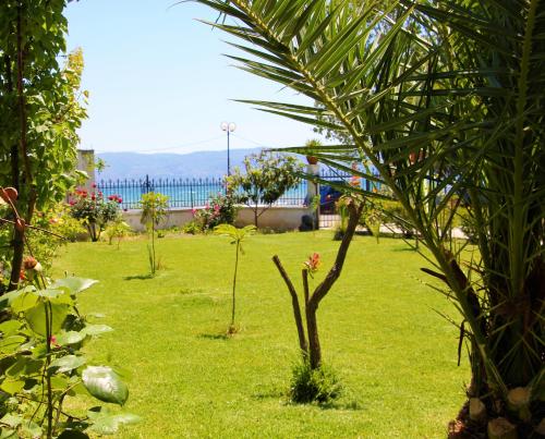Gallery image of Amarynthos Beachfront Vacation House with garden in Áno Váthia