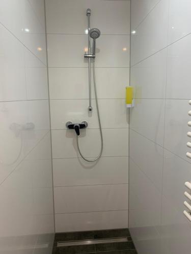 Bilik mandi di Apartments am Rheingarten