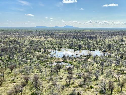 Gallery image of Kifaru Luxury Lodge in Outjo