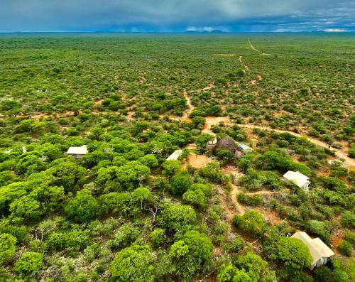Gallery image of Kifaru Luxury Lodge in Outjo