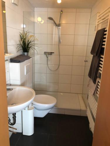 y baño con ducha, aseo y lavamanos. en Gästehaus Glock, en Marbach am Neckar