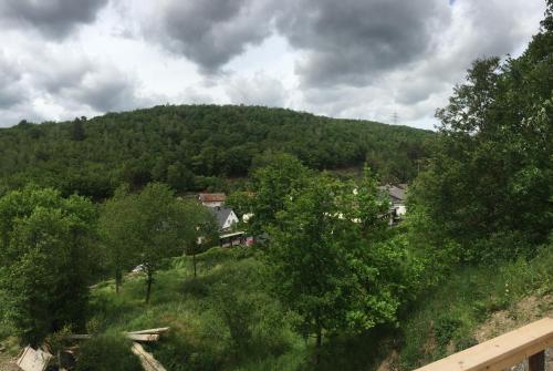 Blick auf einen Hügel mit Bäumen und Häusern in der Unterkunft Ferienwohnung Grünebach in Grünebach