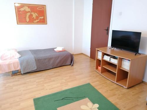 um quarto com uma cama, uma televisão e um tapete em Apartman Santos em Kladovo