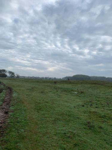 a grassy field with people walking in the distance at Het Schulpje in Egmond-Binnen