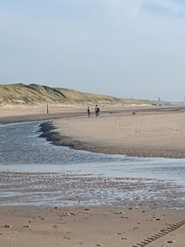 a group of people walking on the beach at Het Schulpje in Egmond-Binnen