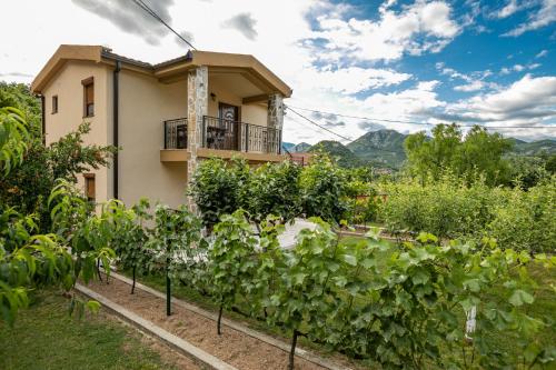 a house with a garden of vines at Ethno Lodge AB in Virpazar