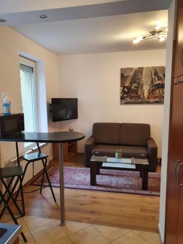 ein Wohnzimmer mit einem Sofa und einem Tisch in der Unterkunft Biedronka- samodzielny apartament dla 3 osób z miejscem parkingowym in Sopot