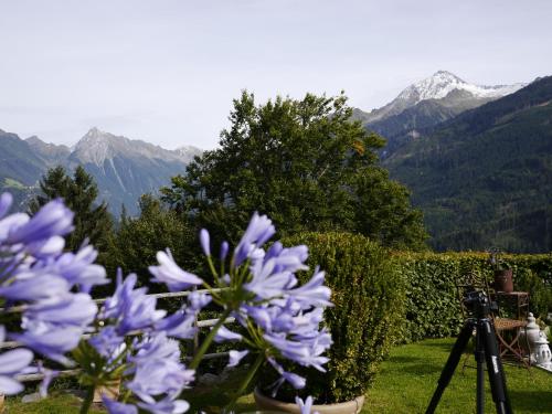 Haus Bichl – Photos 5