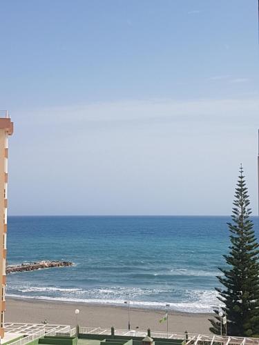 a beach with a building and a tree and the ocean at Apartamento Turistico Peñalver Playa 316 in Torrox Costa