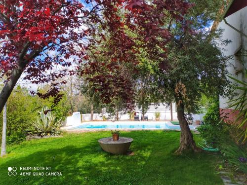 a tree in a yard next to a swimming pool at Hotel Finca Aldabra in Pinos Genil