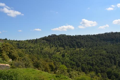 a view of a mountain with trees at Casa La Mestra in Herbeset