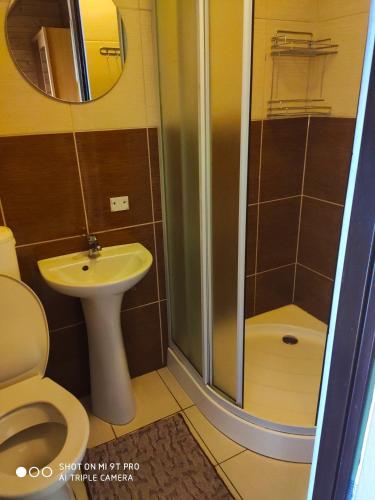 a bathroom with a shower and a toilet and a sink at Agroturystyka Pod Kołami in Myczkowce