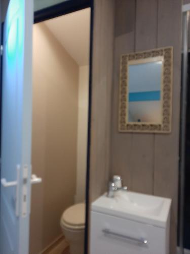 La salle de bains est pourvue de toilettes, d'un lavabo et d'un miroir. dans l'établissement La Belle Etape, à Lamonzie-Saint-Martin