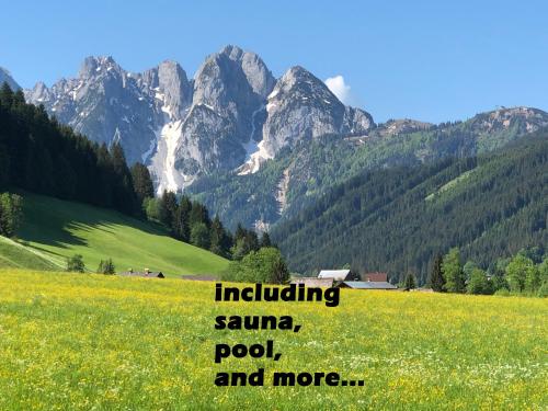 a field of flowers with mountains in the background at Ferienwohnung Kogelblick Gosau in Gosau