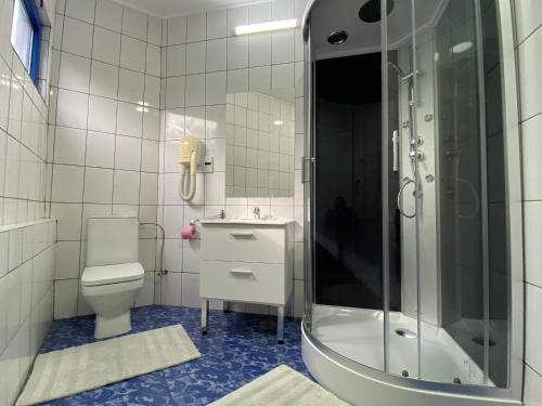 a bathroom with a shower and a toilet and a sink at Motel Carmen in Baia Mare