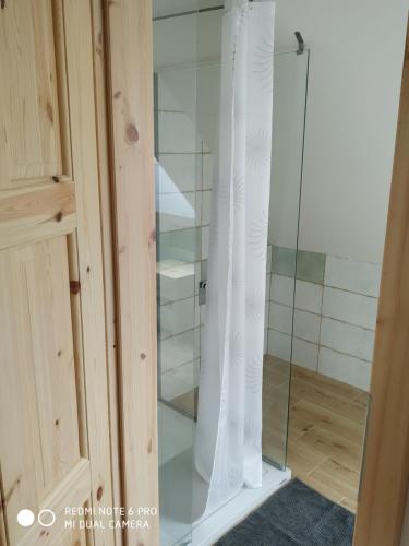 a shower with a glass door in a room at Ubytovani Ve stodole in Stráž nad Nežárkou