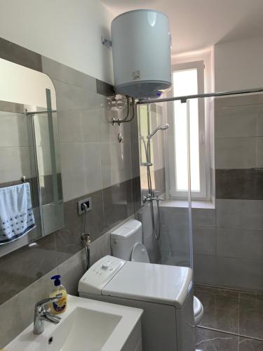 a bathroom with a sink and a toilet and a mirror at Apartman Višković Koromačno in Koromačno