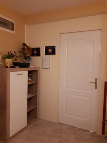 Η κουζίνα ή μικρή κουζίνα στο Herkules apartman