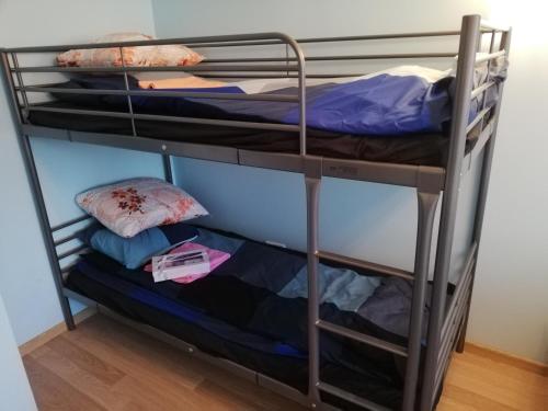 Un ou plusieurs lits superposés dans un hébergement de l'établissement Rusne apartment