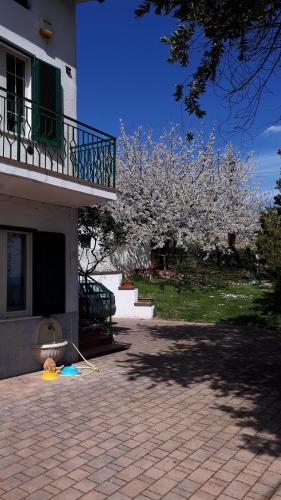 a house with a flowering tree in front of a building at Il Ciliegio del Pellegrino in Gubbio