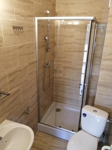 a bathroom with a shower and a toilet and a sink at Casa Grande in Eforie Nord