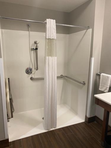 a shower with a shower curtain in a bathroom at La Quinta by Wyndham Houston NW Beltway8/WestRD in Houston