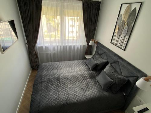 a bedroom with a bed with black pillows and a window at DanGinta in Druskininkai