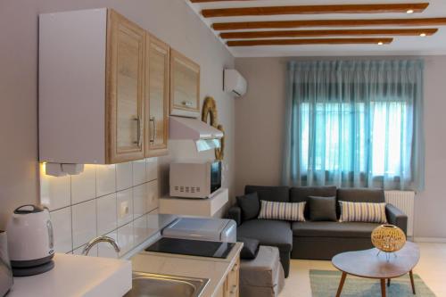 Il comprend une cuisine et un salon avec un canapé. dans l'établissement Lamprini's Deluxe Studios, à Thasos