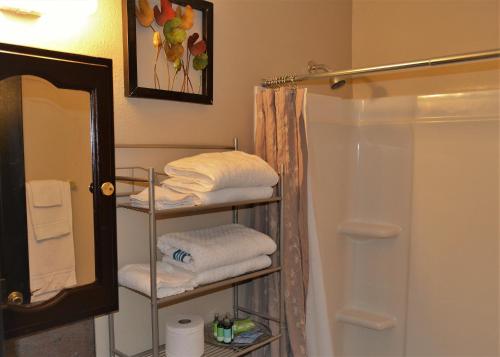 a bathroom with a towel rack and a shower at Urbana in Grand Forks