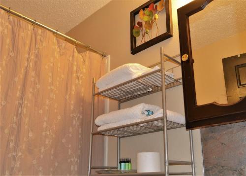 a towel rack in a bathroom with a shower at Urbana in Grand Forks