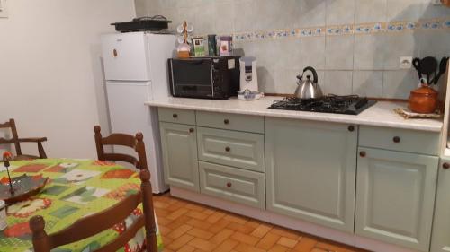 a kitchen with a counter top with a microwave and a refrigerator at LOUCABANON VAR in Draguignan