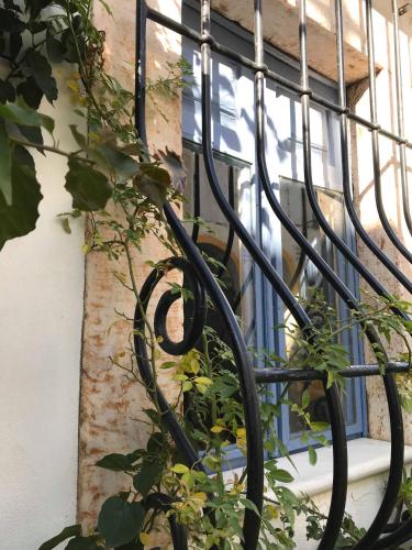 a plant is growing next to a window at Casa De Terena in Terena