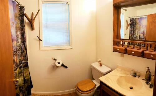 Gallery image of Mountain Laurel Cottage at Hearthstone Cabins and Camping - Pet Friendly in Helen