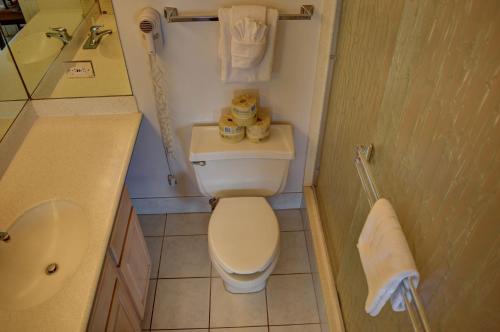 Vonios kambarys apgyvendinimo įstaigoje Mana Kai 710A