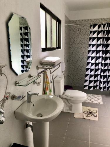 a bathroom with a sink and a toilet and a mirror at Pintuyan Dive Resort in Pintuyan