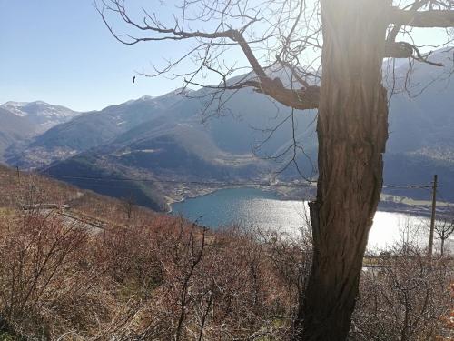 a view of a lake from a hill with a tree at Scanno in Scanno