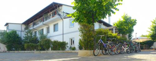 Ciclismo en Hotel Bicaj o alrededores
