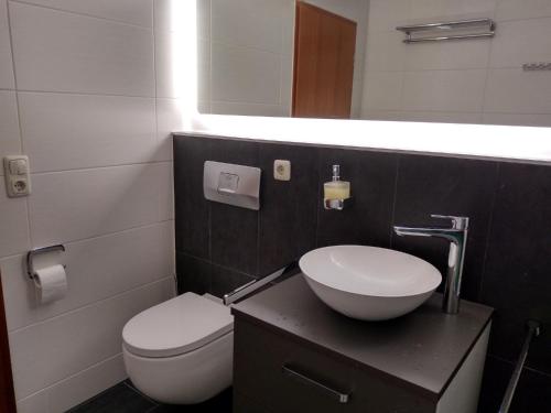 a bathroom with a sink and a toilet and a mirror at Ferienwohnung Fichtelzauber in Mehlmeisel