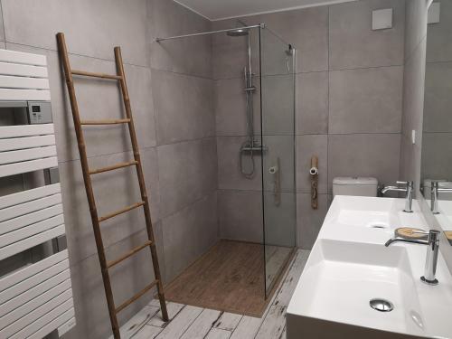バルバッジョにあるAppartement Haute-Corse Calmeのバスルーム(シャワー、洗面台、トイレ付)