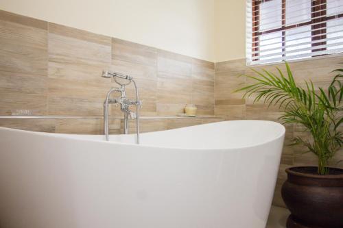 - Baño con bañera y planta en Charlotte's Bed and Breakfast en Mtunzini