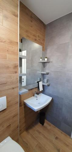 a bathroom with a sink and a mirror at Apartmani Tisno TM in Tisno