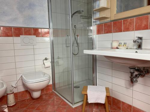 y baño con ducha, aseo y lavamanos. en Locanda "Al Terrazzo" en Erbezzo