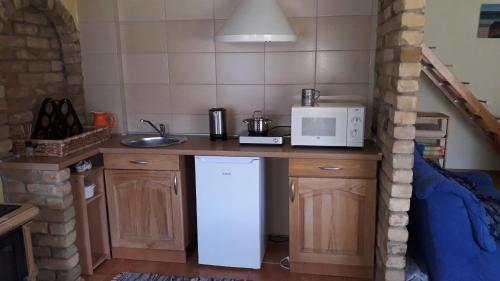 a kitchen with a counter with a microwave and a refrigerator at Tik Saviem in Palanga