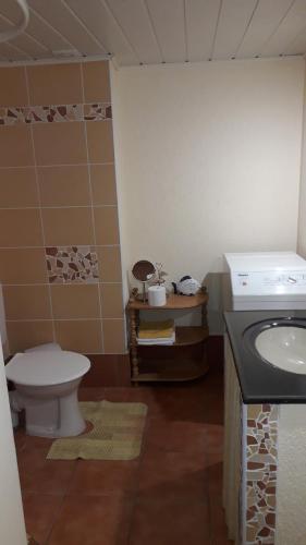 La salle de bains est pourvue de toilettes et d'un lavabo. dans l'établissement Tik Saviem, à Palanga
